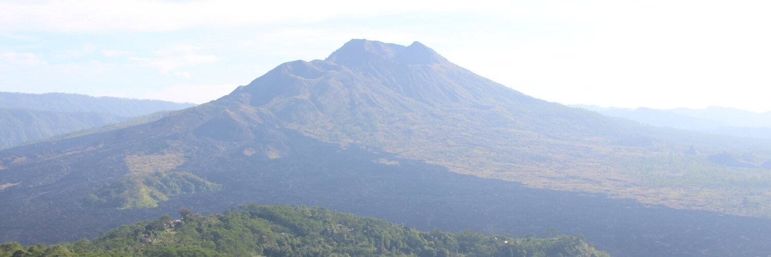 Boris Agranovich banner