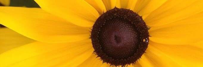 TweetTwoo4's profile banner image