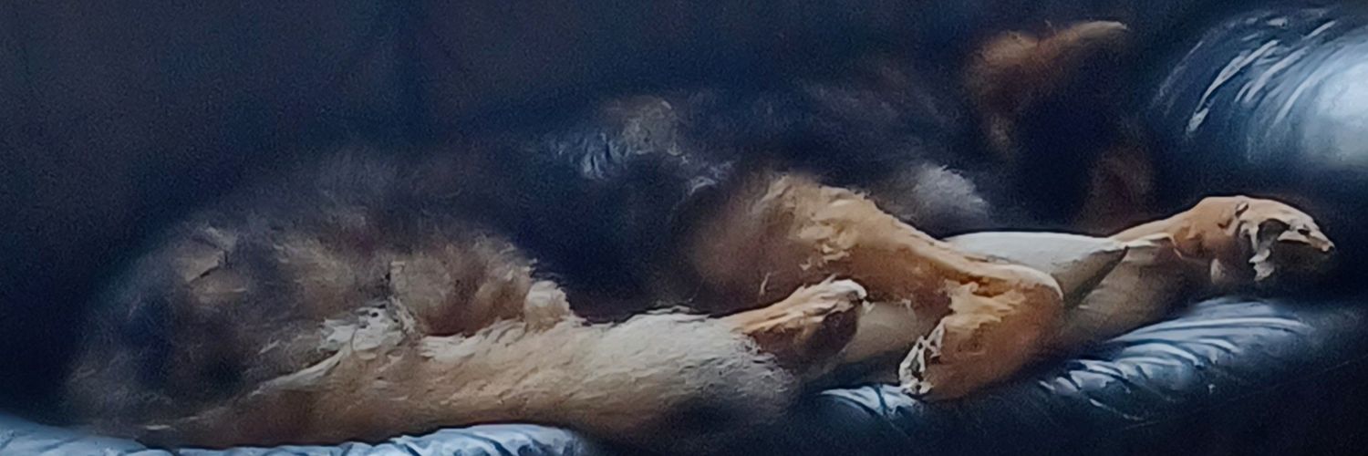 Cheryl 🇬🇧 banner