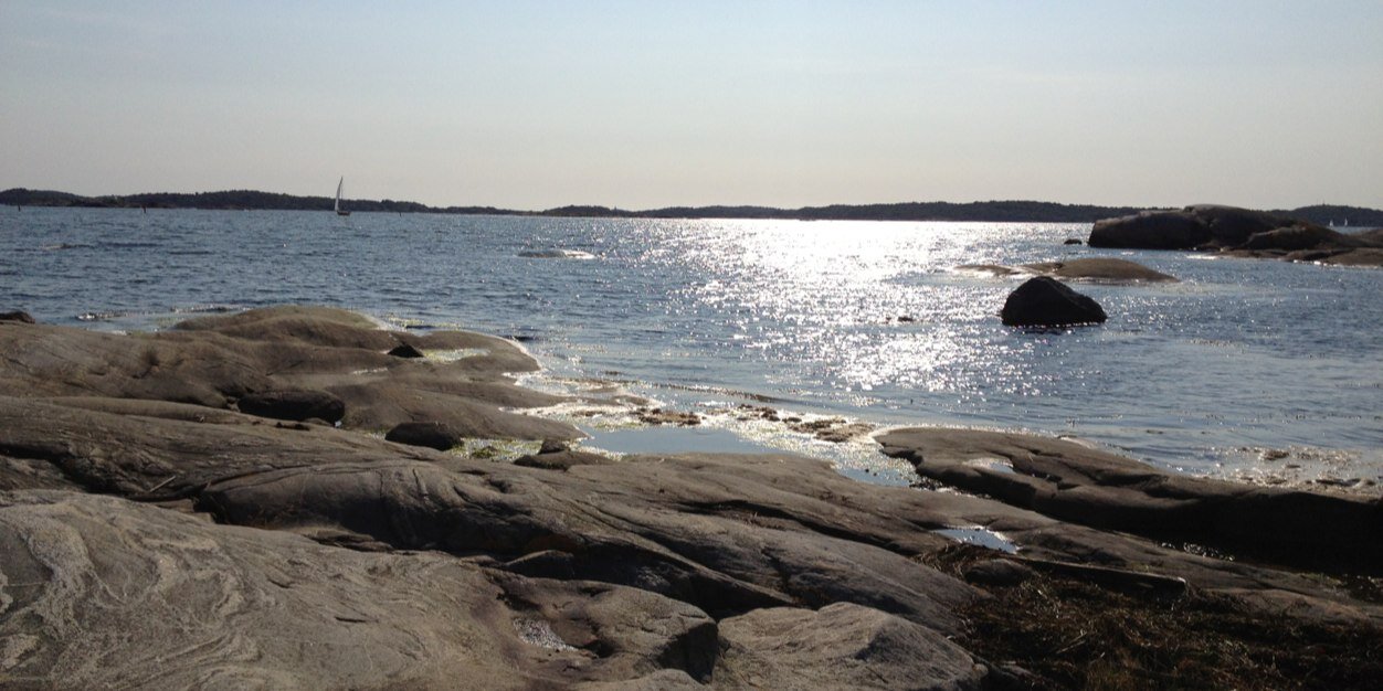 EvaFridman's profile banner image