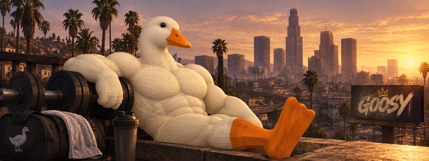 GOOSY_SOL's profile banner image