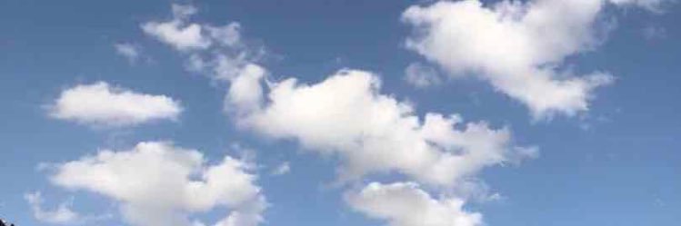 الكاتبة/ ليلى القحطاني banner