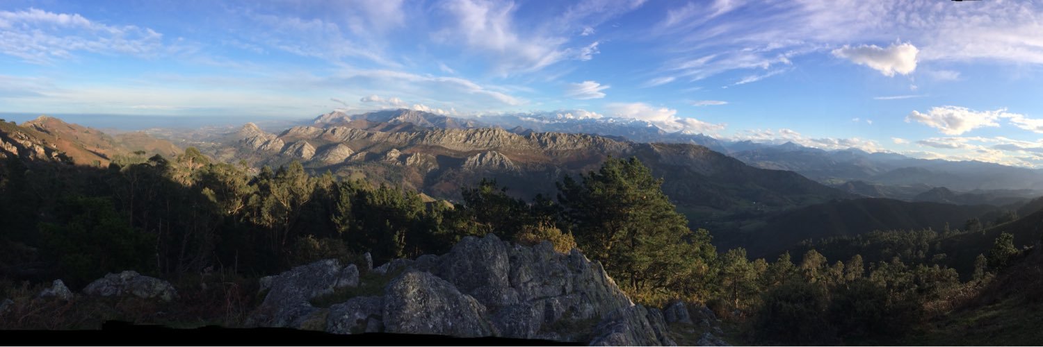 borja_caff's profile banner image