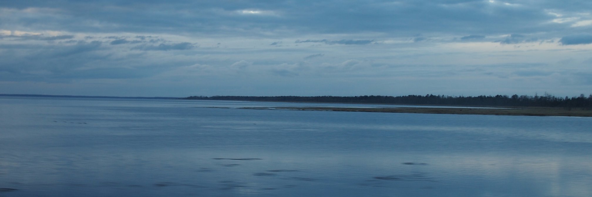 silent_ri's profile banner image
