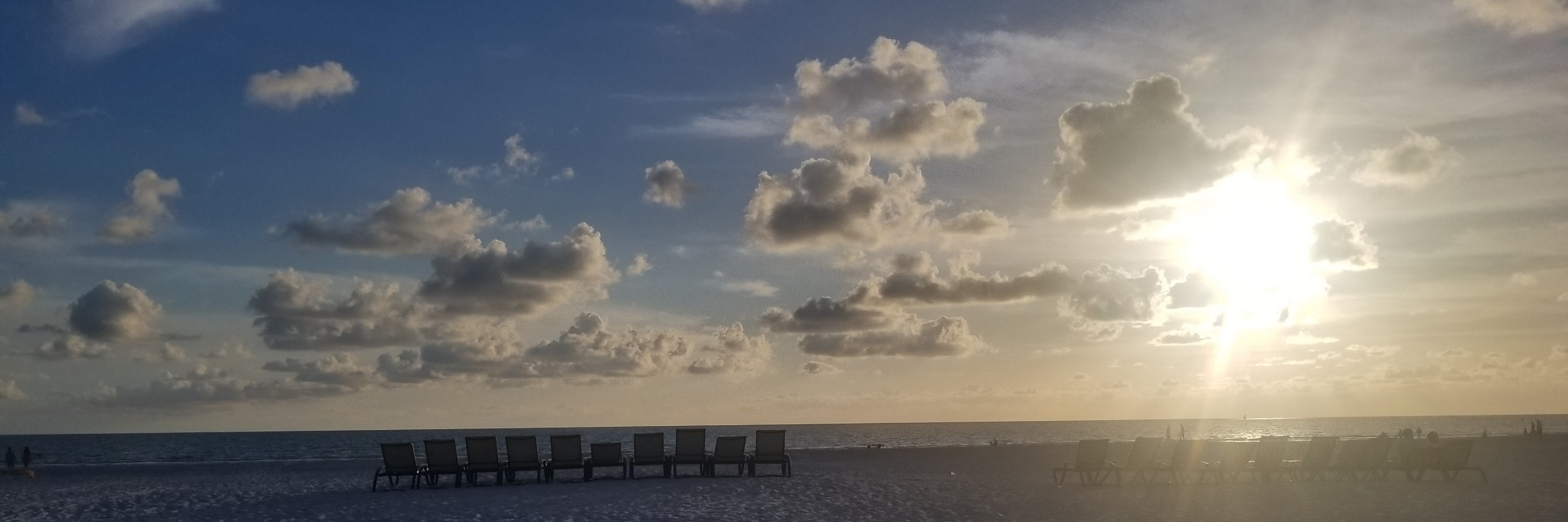 Steveogier's profile banner image