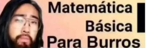 Nitto🏴‍☠️ banner