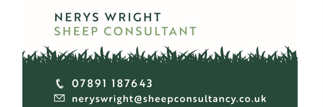 Nerys Wright's banner