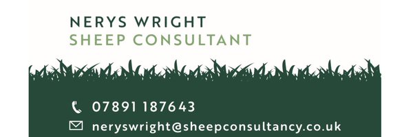 neryswright Profile Banner