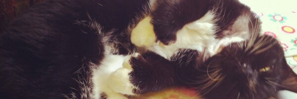 TheELane Profile Banner