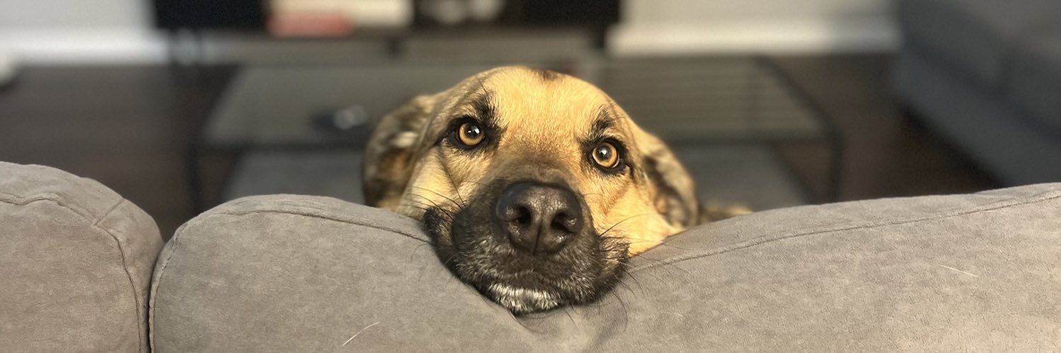 baileyjbeis's profile banner image
