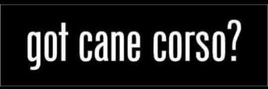 5starcorso's profile banner image