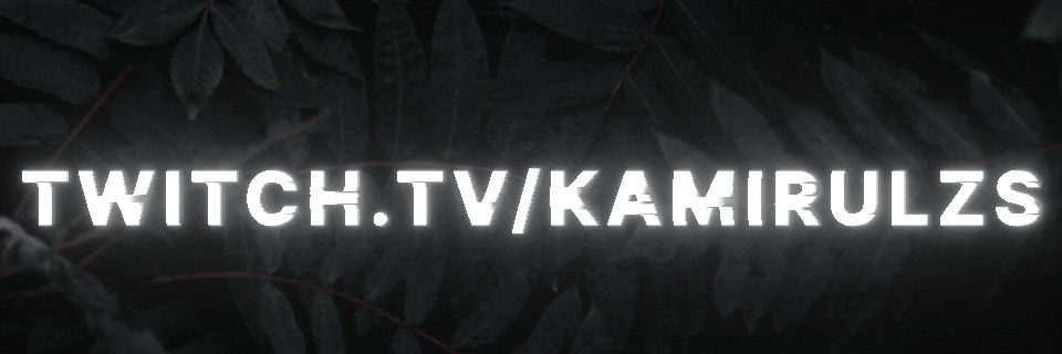 KamiruLZS's profile banner image