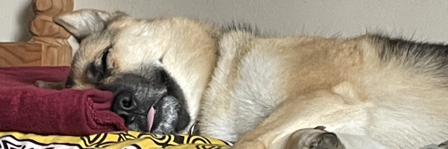 mika banner