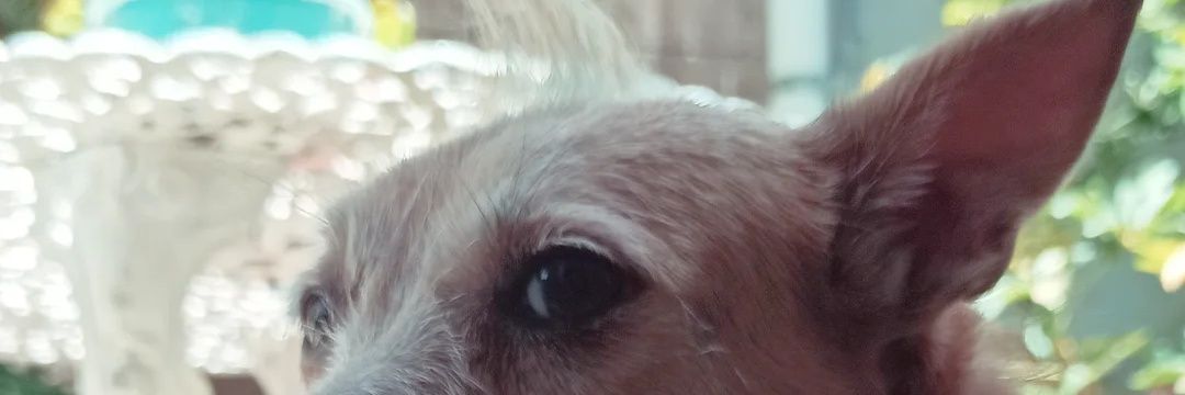 Paosaa's profile banner image