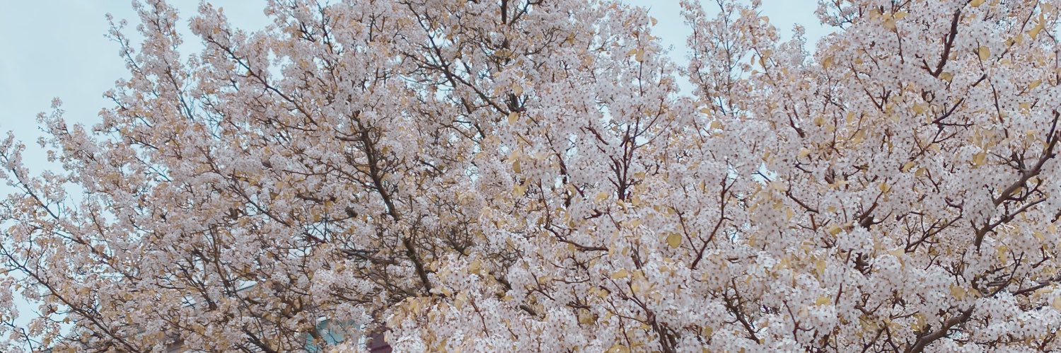 Jessicalynn234's profile banner image