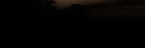 primmrose__'s profile banner image
