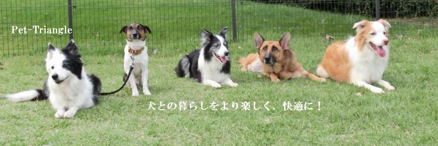 pettriangle's profile banner image