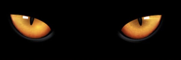 MarkaMackem Profile Banner