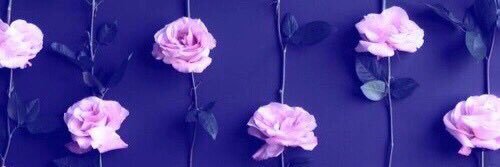 tag♡ banner