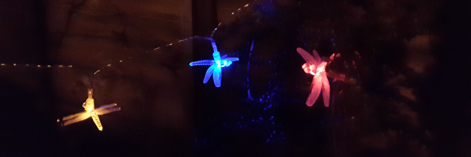 millymollyf's profile banner image