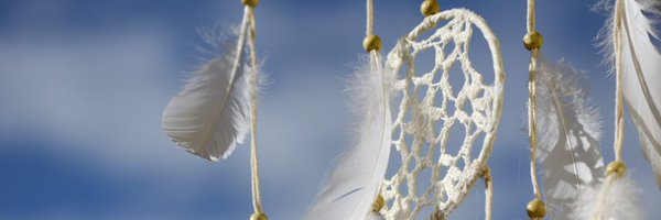 cart_div Profile Banner