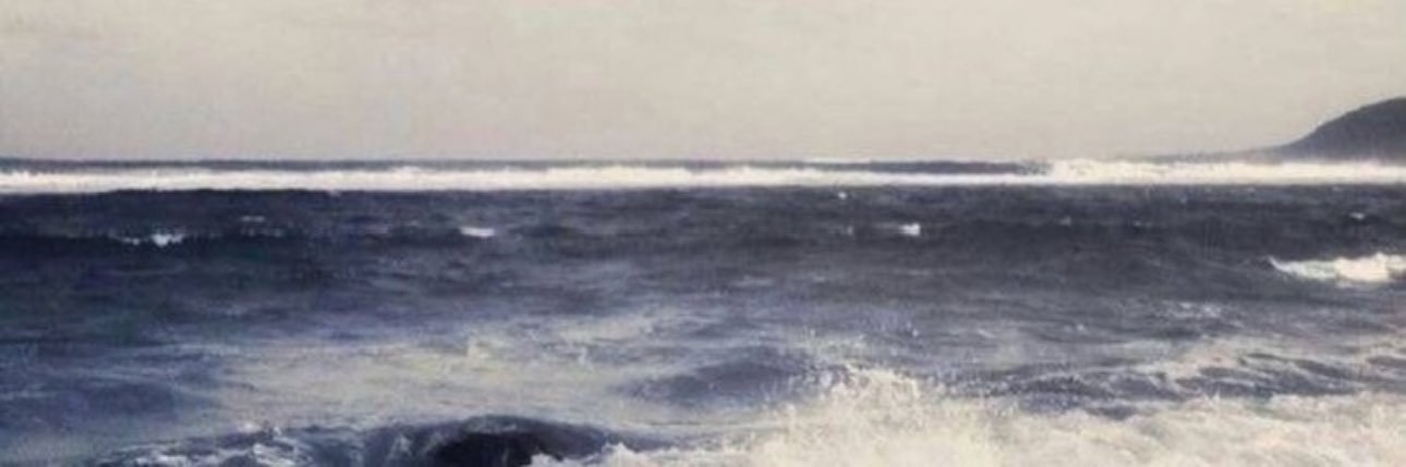 ✧'s banner
