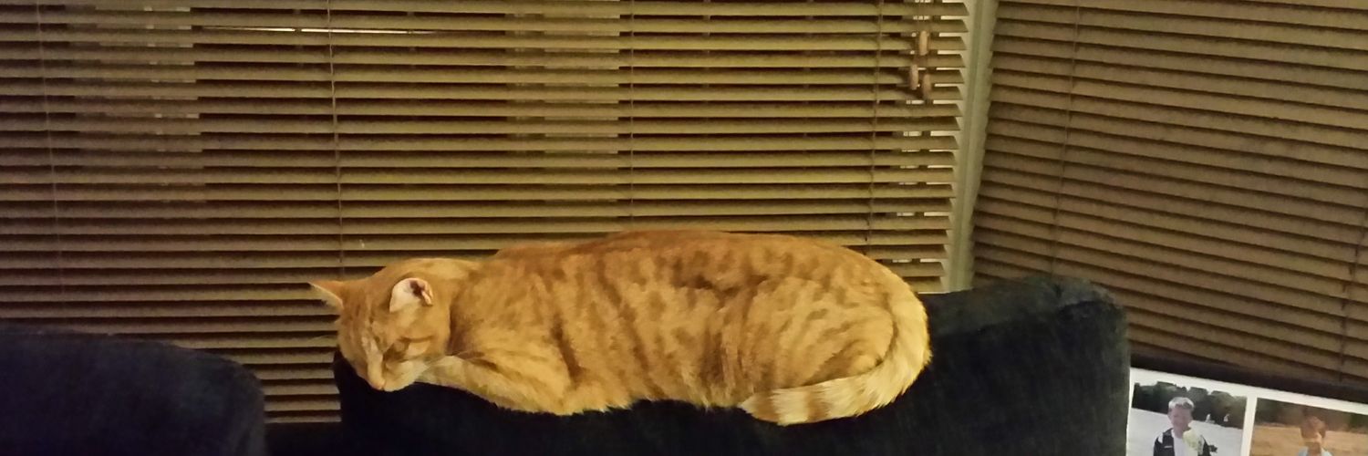 kerrycollar's profile banner image