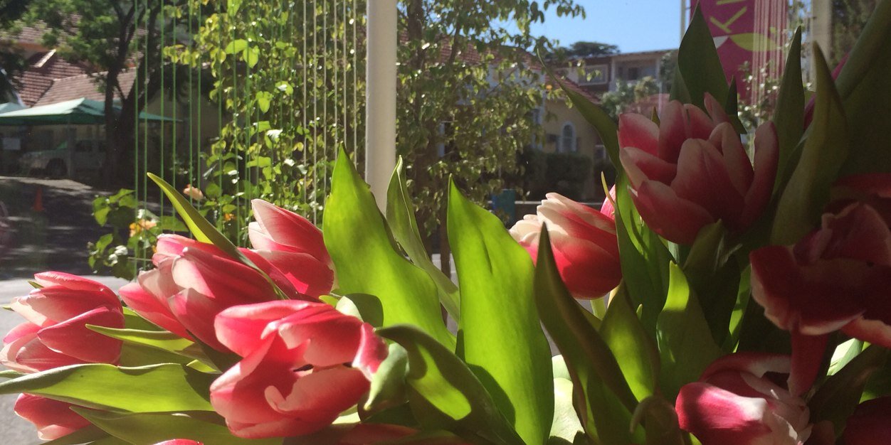 coffeeflorist's profile banner image
