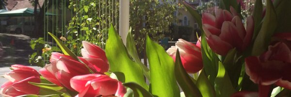 coffeeflorist Profile Banner