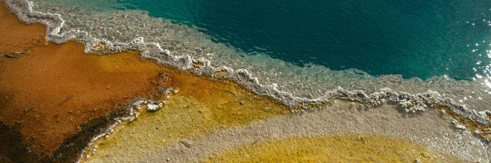 Dr Kendra Maas (not that kind of dr) banner