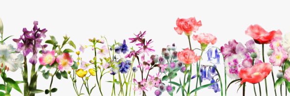 jennabean's profile banner image