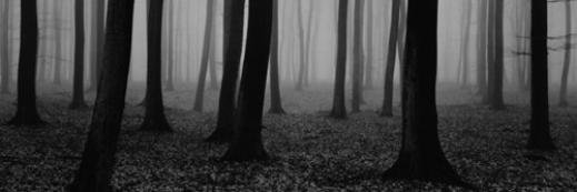 youngnfree21's profile banner image