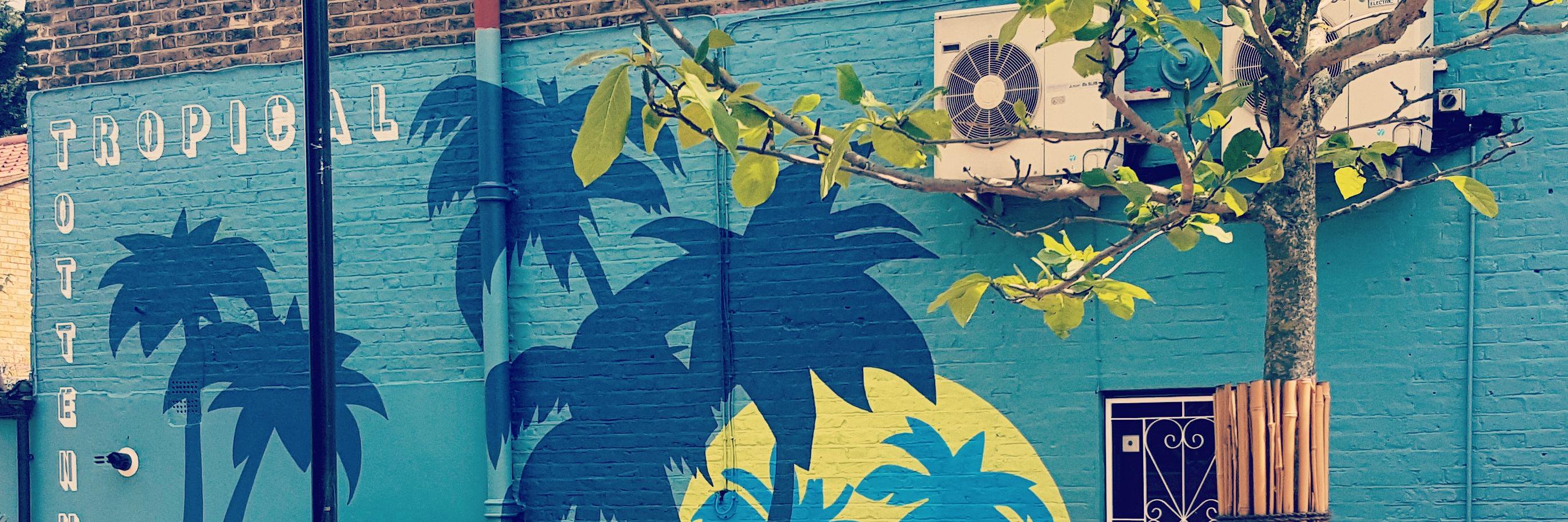 DiscoveringTottenham banner