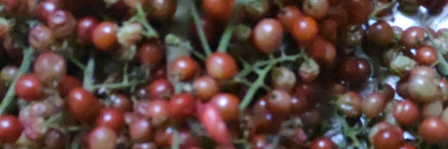 claireberaldo's profile banner image