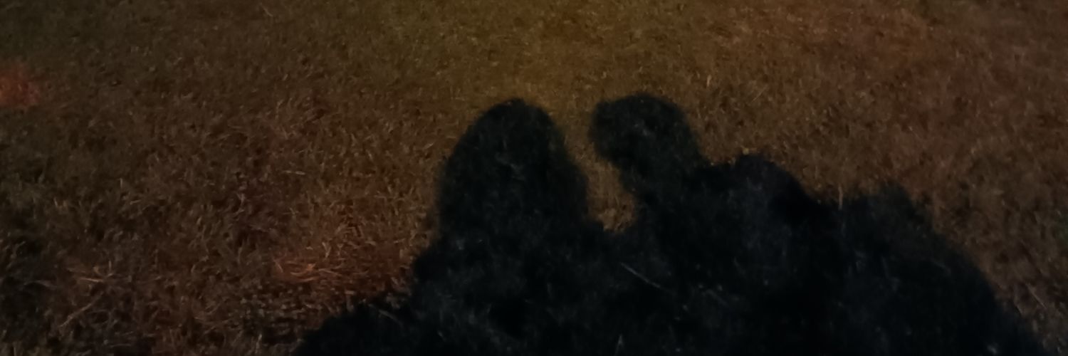 TrkmnS's profile banner image