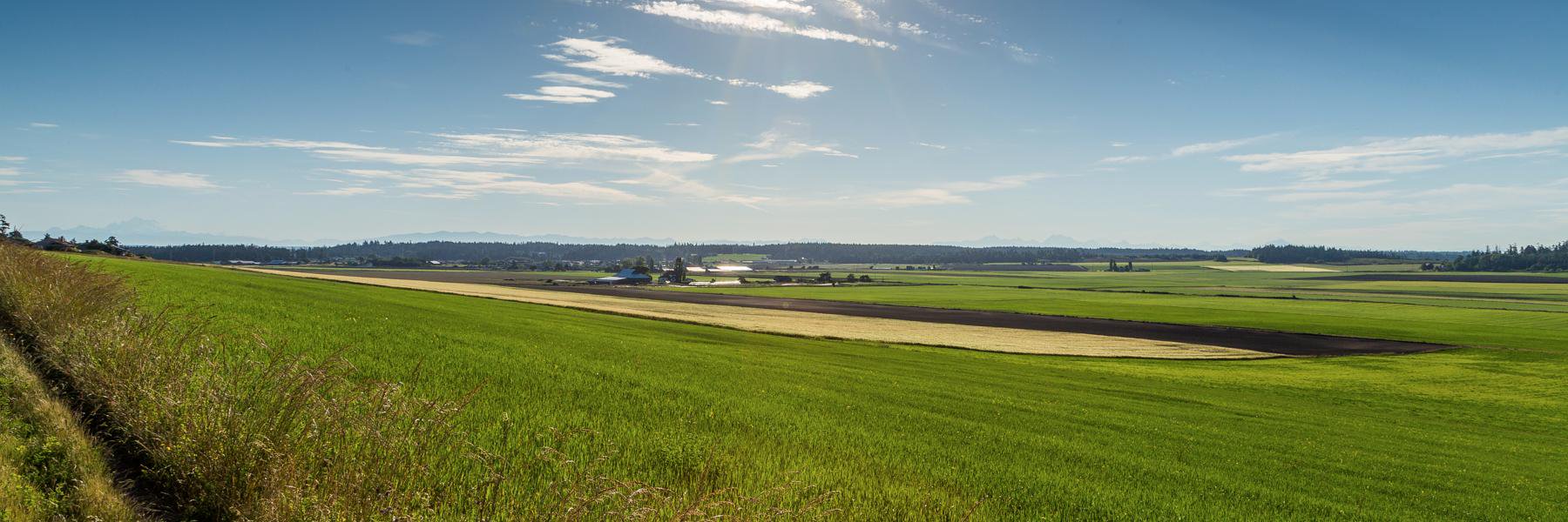 PatrickGKeller's profile banner image