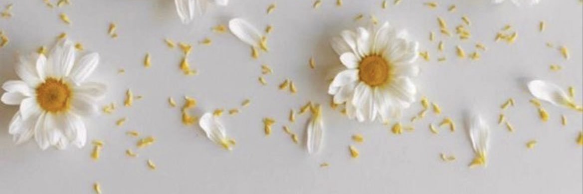 margammb's profile banner image