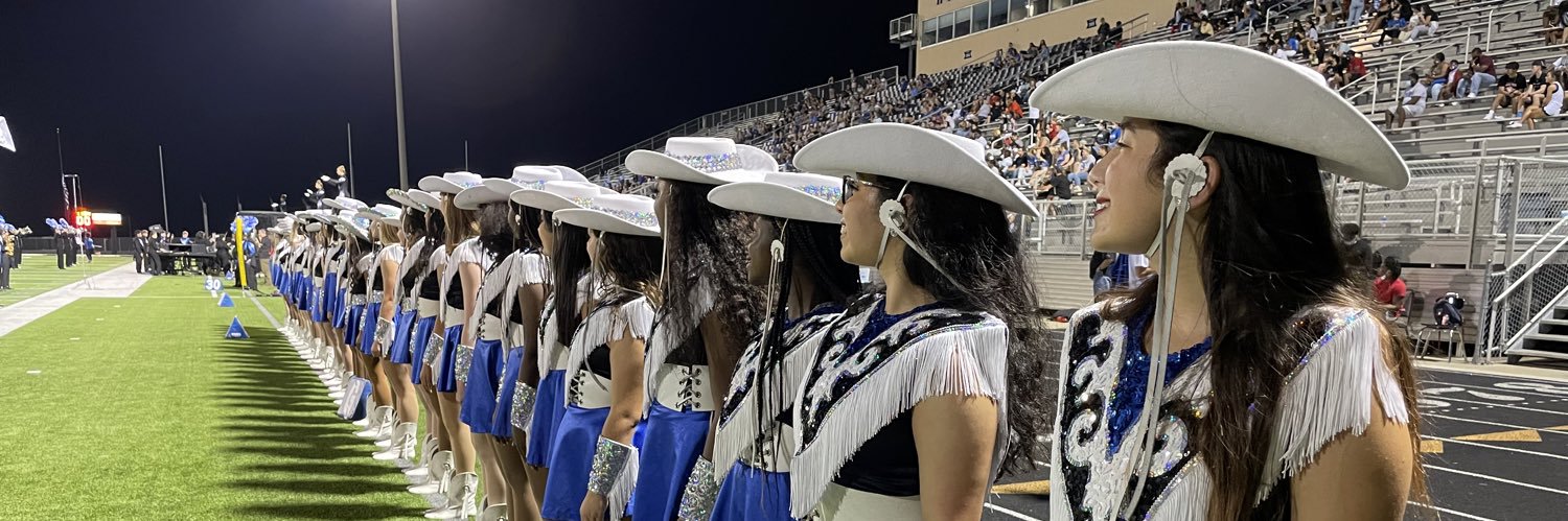 Sapphire Strutters and Royals banner