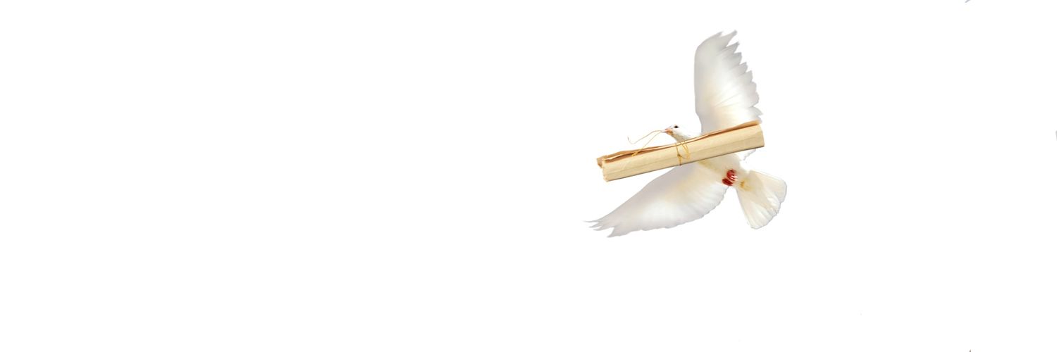 قانون ⚖️ banner