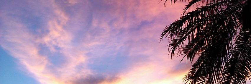 ClarkSiler's profile banner image