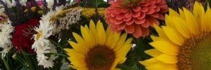 sharonpemberto2's profile banner image