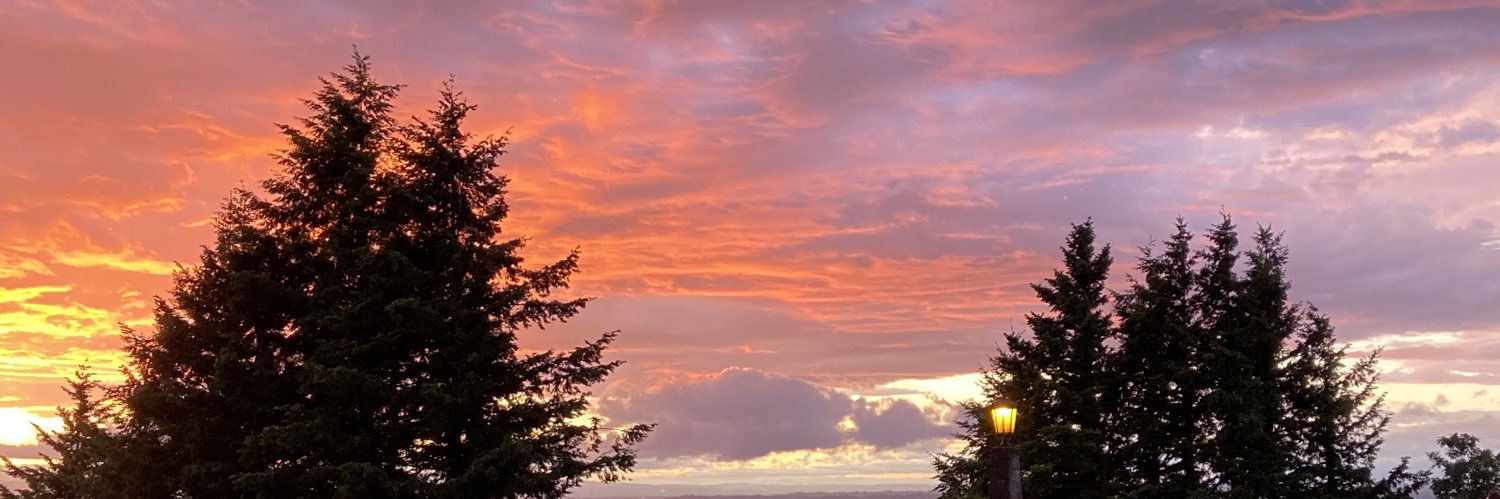 rachrosew's profile banner image
