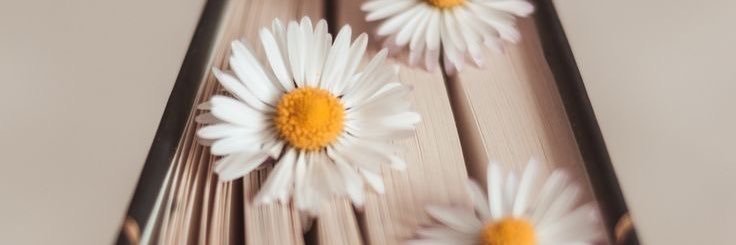 jjuliaa__'s profile banner image