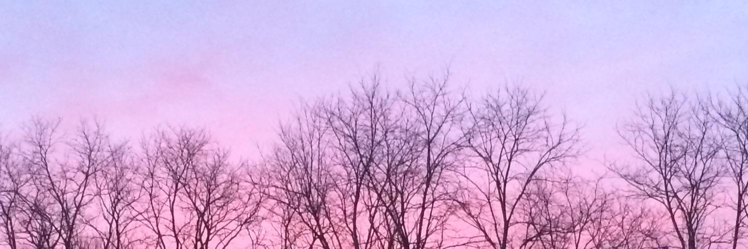Jess_Stevens93's profile banner image