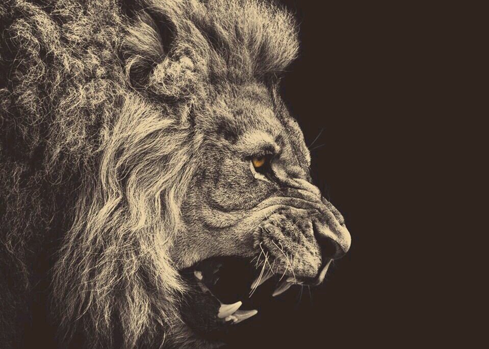 dwil45's profile banner image