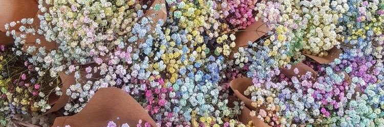 jadetaylor_ox's profile banner image