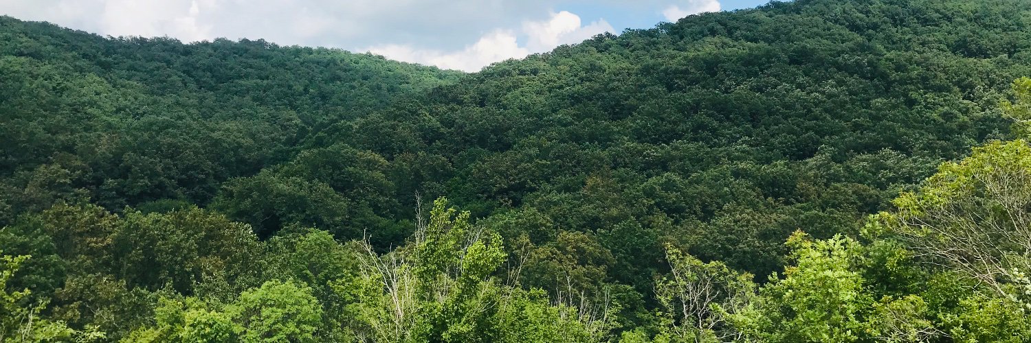 dlnsmgr's profile banner image
