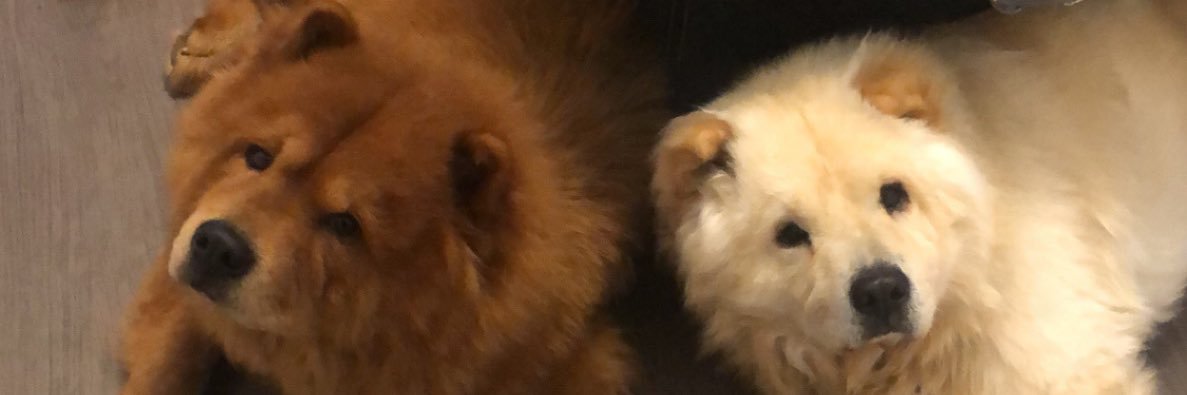 MaxVly's profile banner image