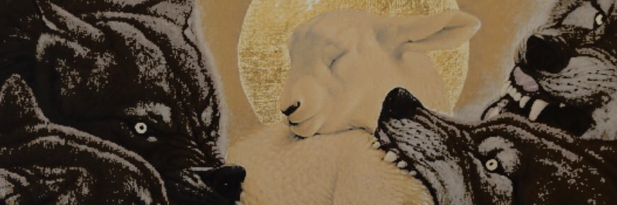 ᅟ ‍✹‧₊ᅟ ᅟ ‍ ᅟ ‍ 𝓟r𝒊͟𝒏͟𝒄͟𝒊͟𝗽𝗲t𝓸 𓈉 banner