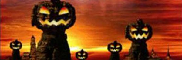 foolpaws Profile Banner